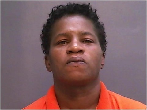 Debra Harrell was charged with "unlawful conduct toward a child," after allowing her daughter to play in a local park during her work shifts. 